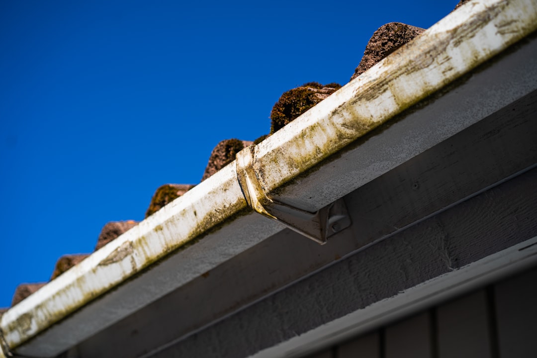 Newly installed seamless aluminum gutters on a Jackson, Tennessee home with downspout routed away from foundation