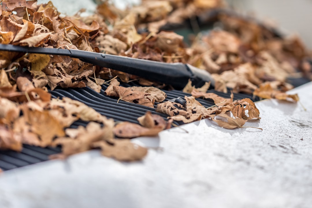 Professional gutter cleaning crew removing leaves from a Jackson, TN home gutter system